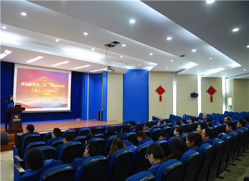 w66利来集团召开二届二次职工（会员）代表大会-栏目内容详细页-公司新闻