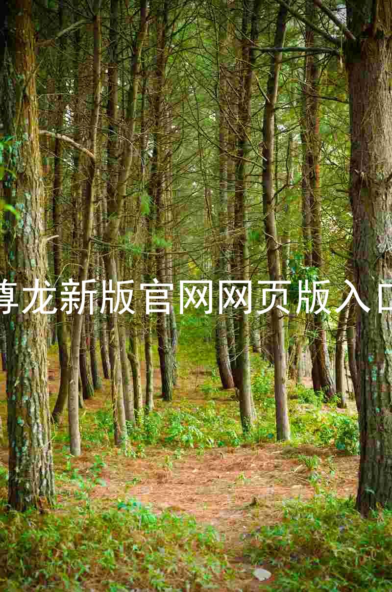 尊龙新版官网网页版入口