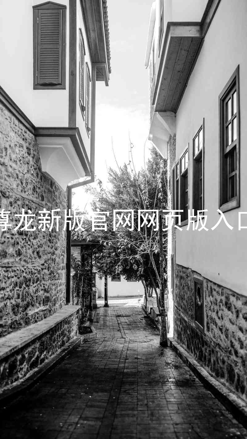 尊龙新版官网网页版入口