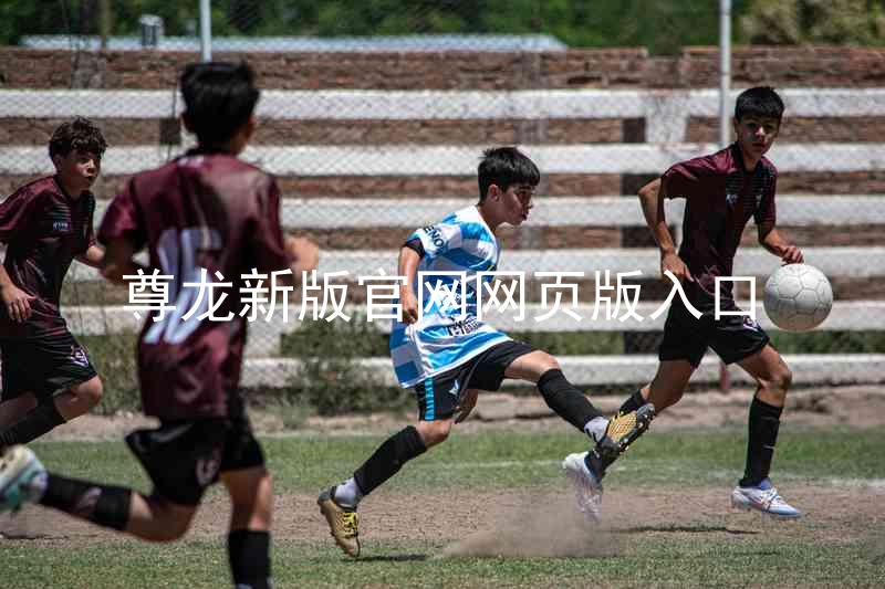 尊龙新版官网网页版入口