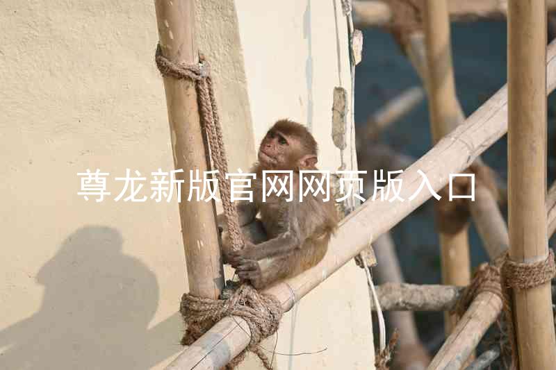 尊龙新版官网网页版入口